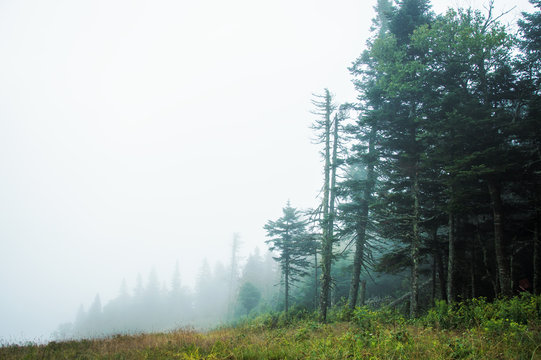 Hiking on a foggy day in Mont Tremblant National Park - Stock image