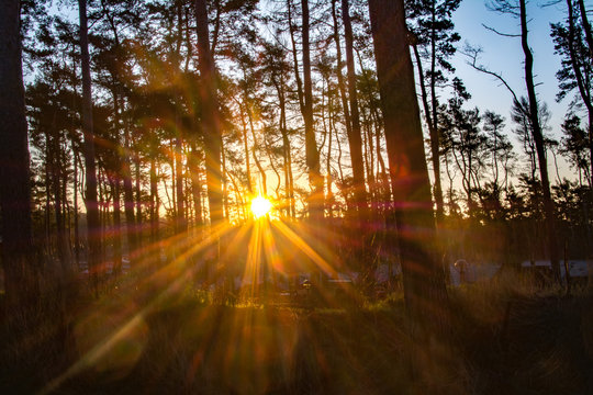 Centre parcs elveden