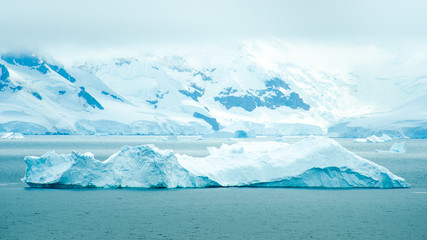 The shapes of icebergs drifting in Paradise Bay, Antarctica, are carved by the sea and winds.- 149428454