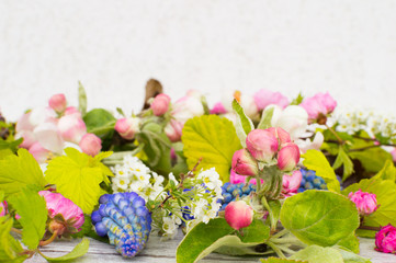 Frame of louiseania, muscari and other fresh branches on a white wooden background. 