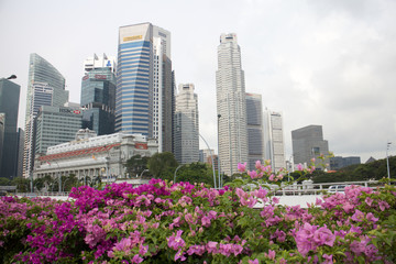 SINGAPORE - DECEMBER 14 2016: Tall and modern skyscrapers in business district of the city of Singapore.