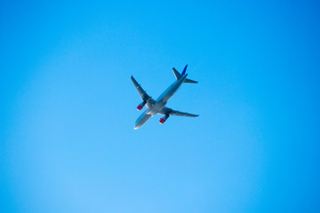Fototapeta na wymiar Airplane. Clear blue sky.