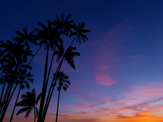 Silhouettes of palm trees against the sky. Tropical sunset background