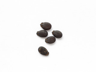 Watermelon seed on white isolated background