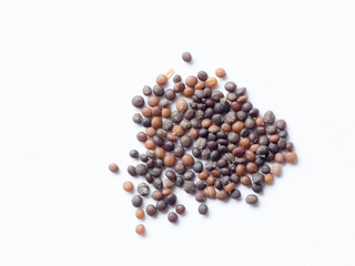 Thyme seed on white isolated background