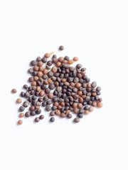 Thyme seed on white isolated background