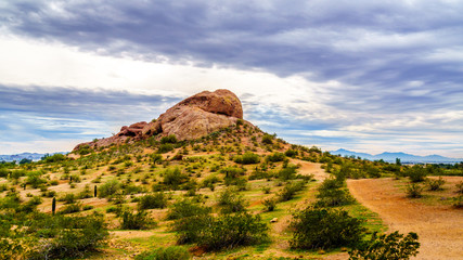 Red Sandstone Buttes in Papago Park near the city of Phoenix in Arizona, United States of America