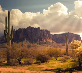 Wandaufkleber Arizona desert wild west landscape © BCFC