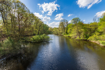 Fototapeta na wymiar Mill River in New Haven Connecticut with refelctions of Trees