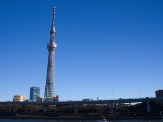 tower