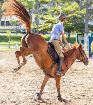 Cavalo e cavaleiro.