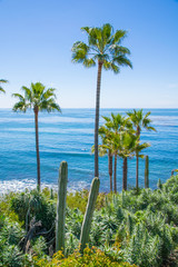 Laguna Beach, Orange County, Southern California Coastline 