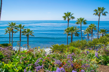 Laguna Beach, Orange County, Southern California Coastline  - obrazy, fototapety, plakaty