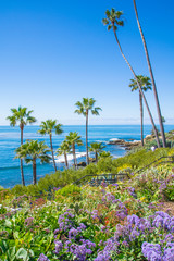 Laguna Beach, Orange County, Southern California Coastline  © rouda100
