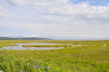 Fototapeta premium Field in New Brunswick