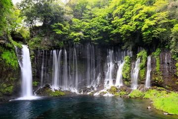 新緑に囲まれた滝
