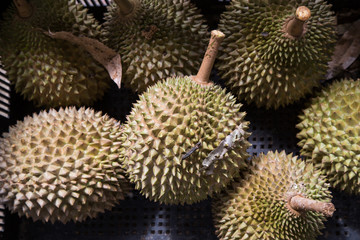 Naklejka na ściany i meble Heap of fresly harvested Musang King durian variety