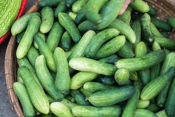 Cucumber for sell in the market. Ho Chi Minh city, Viet Nam