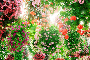 フラワーアレンジメントの風景