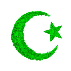 Crescent Moon and Star of Islam made with green color powder, isolated on a white background