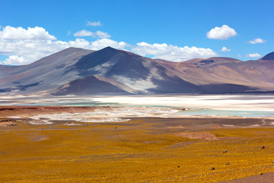 Salt flats and volcanic mountains of San Pedro de Atacama, Chile, South America. Colorful panorama landscape after the rain.