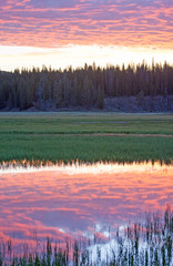 Fototapety  Pink Sunrise Dawn cloudscape nad Pelican Creek w Parku Narodowym Yellowstone w Wyoming USA