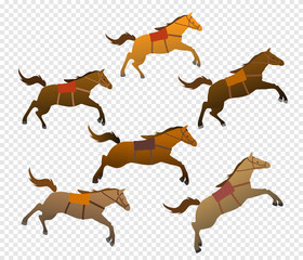 Herd of horses. Set of pets. Isolated images. Flat design. Vector illustration
