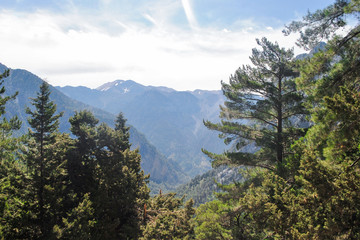 panoramic view of Samaria gorge on start trip place before descending in ravine