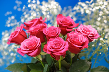 薔薇の花