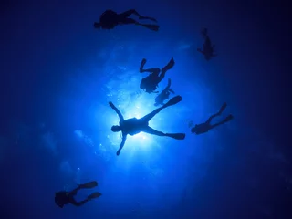 Cercles muraux Plonger Scuba diving