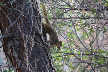 Life