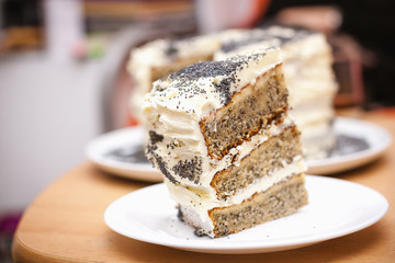 homemade fat poppy cake piece on plate