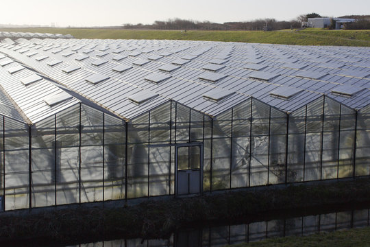 greenhouses in the netherlands