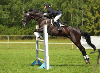 Equestrian girl horseback jumping obstacle 