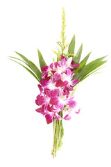 pink orchid and green leaf