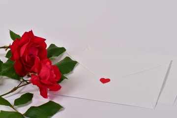 薔薇と手紙