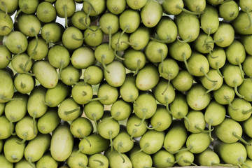 Cucumber wall in Coorg, Karnataka , India