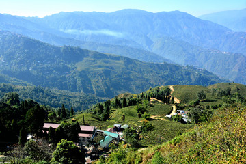 Fototapeta premium India Darjeeling