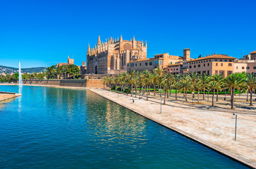 Naklejka premium Palma de Mallorca with view of the Cathedral La Seu