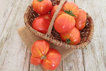 tomates cœur de boeuf