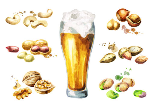 Beer and nuts snacks set with pistachio, peanuts, almonds, walnuts, cashews and hazelnuts. Watercolor
