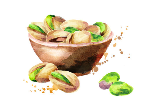 Bowl of nuts pistachios. Watercolor