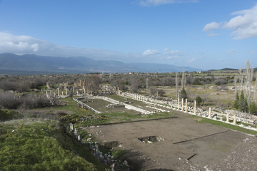 Ancient city Aphrodisias ruins Aydin/Turkey.