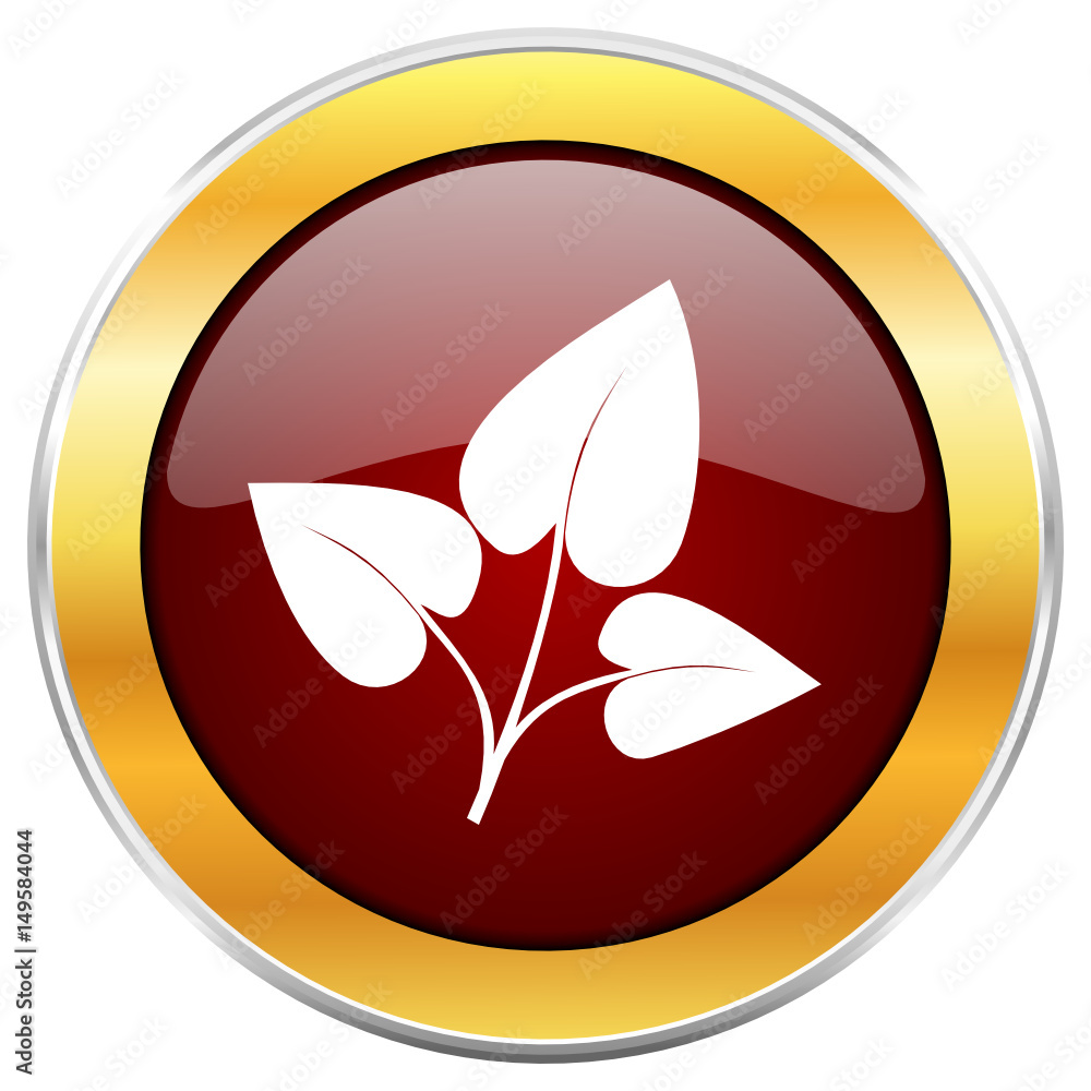 Poster leaf red vector icon with golden border isolated on white background.