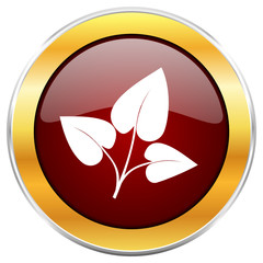 Leaf red vector icon with golden border isolated on white background.