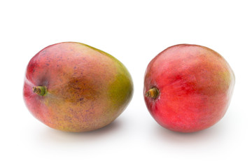 Mango fruit isolated on white background .