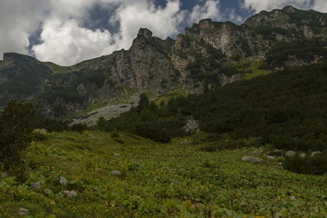 Fototapeta premium Mountain top overgrown with coniferous forest and glade on the ecological walk toward Maliovitza peak in Rila mountain, Bulgaria 