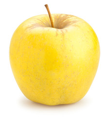 golden delicious apples