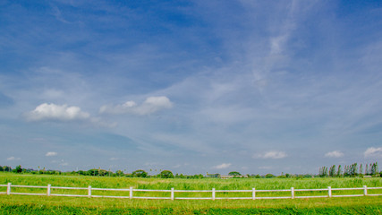 Obraz premium THAILAND - April 16, 2017:Blue sky background with tiny clouds