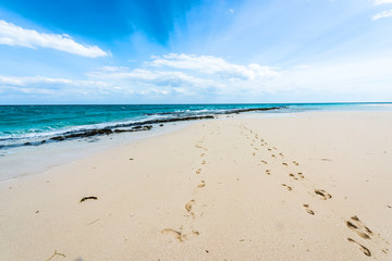 Fototapeta na wymiar beautiful colorful seascape with footprints on a shore and blue sky